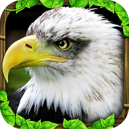Eagle Game Download APK APK